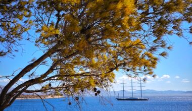 Flu Hits Europe Early in 2025 – Vaccinations Urged Immediately