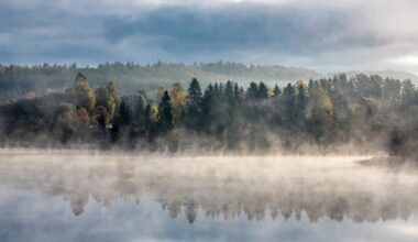 Estonia spends almost a billion a year to protect its environment