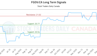 (FGOV) Long Term Investment Analysis