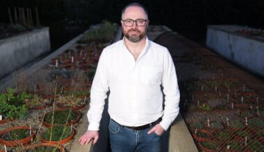 'It's like Noah's Ark' - Man banks every native seed in Ireland