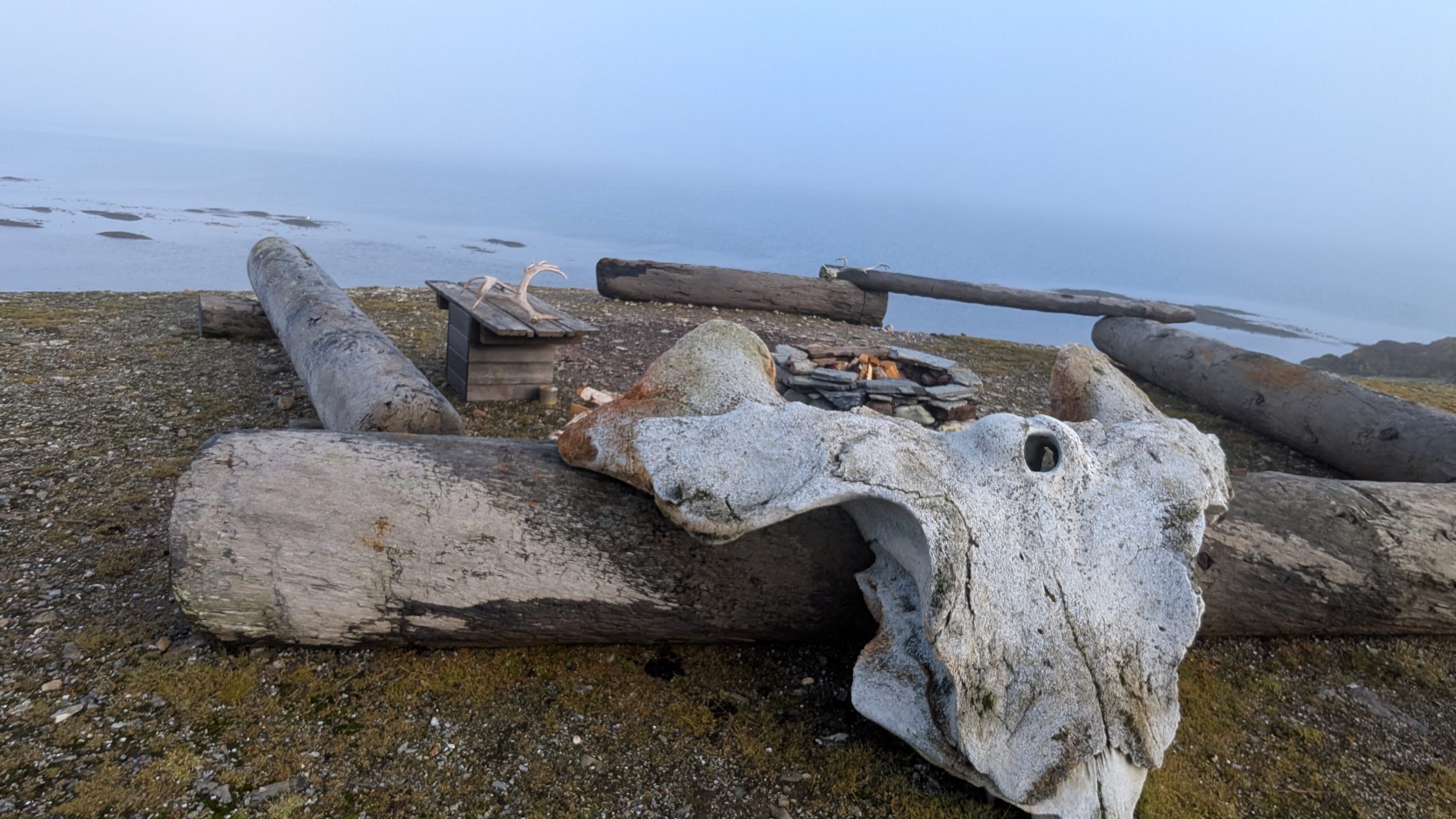 Wood, Architecture, Building