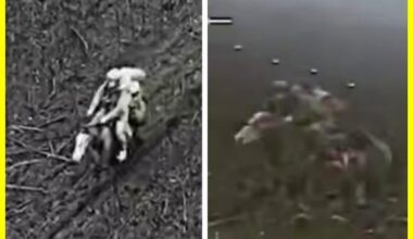 The Russians are losing their equipment so quickly that they are forced to storm Ukrainian positions on horseback. But even that doesn’t help them