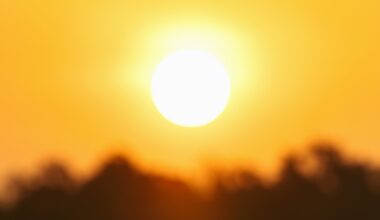 How the planet fared in 2025 — the good, the bad, and the ugly