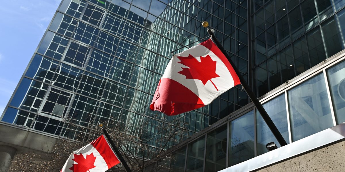 Canadian stocks set record for records in ‘jaw-dropping’ year