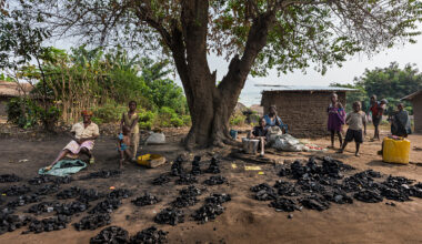 Belgium gives DRC pressure cookers to combat armed groups