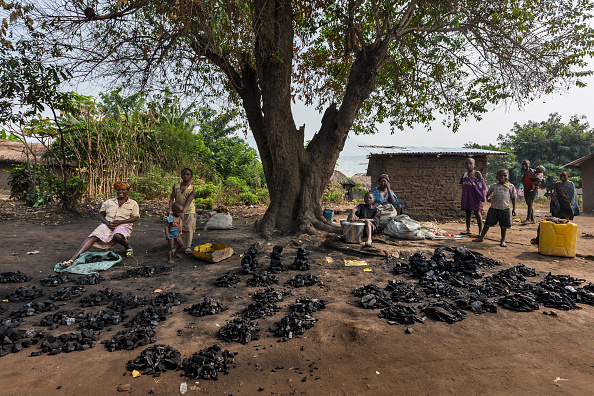 Belgium gives DRC pressure cookers to combat armed groups