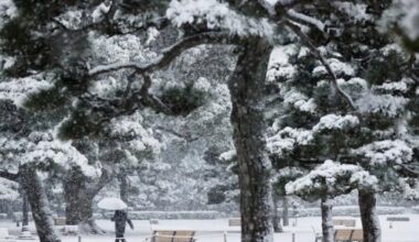 Japan's economy faces multiple tests amid policy crosscurrents