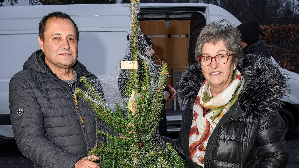 Transport de marchandises Portugal-Luxembourg, pour un Noël très portugais