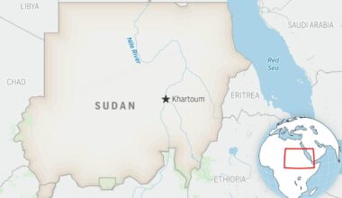 Sudanese paramilitary drone attack kills 50, including 33 children in Kordofan, doctor group says
