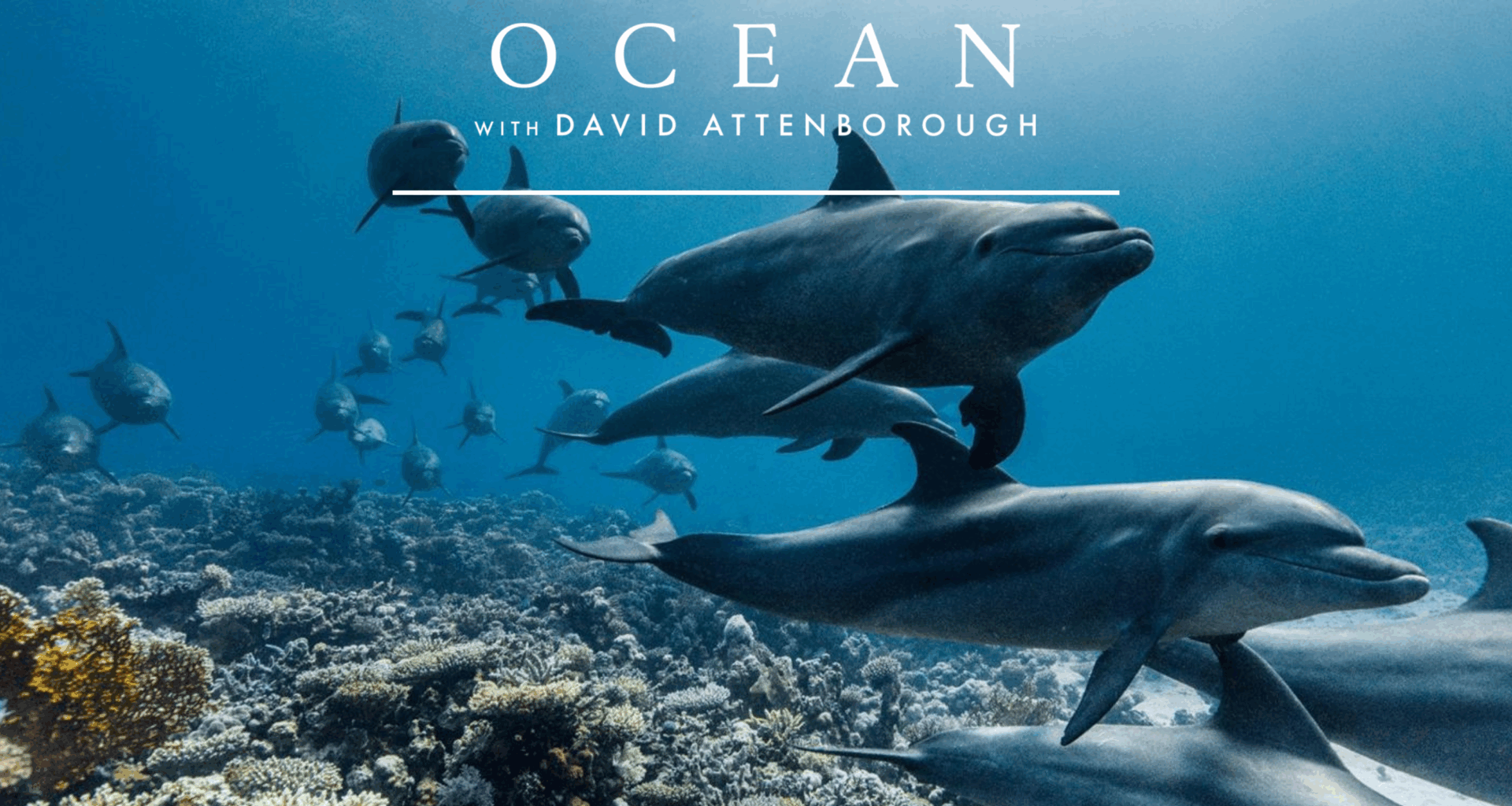 Department for Environment and Water