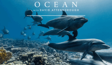 Department for Environment and Water