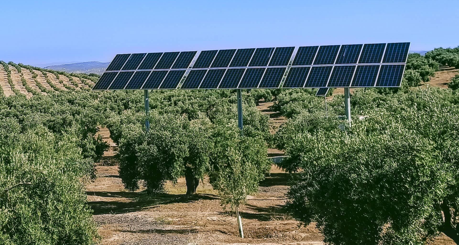 New study reveals staggering benefits of pairing solar panels with crops: 'Economic value'. Agrivoltaics increases both crop yields and soil health. Farming among solar panels means we can double the use of farmland and create additional income for farmers. It also produces low-cost clean energy.