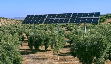 New study reveals staggering benefits of pairing solar panels with crops: 'Economic value'. Agrivoltaics increases both crop yields and soil health. Farming among solar panels means we can double the use of farmland and create additional income for farmers. It also produces low-cost clean energy.