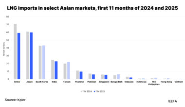 Asia’s falling LNG demand in 2025 defies investor optimism for rapid growth