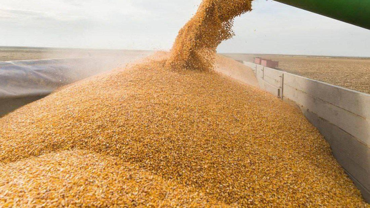 Moldova not to extend licensing program for grain imports from Ukraine
