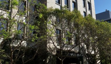 Tulane welcomes 24 new science, engineering faculty this year • The Tulane Hullabaloo