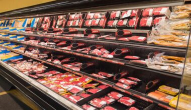 How the global food system is impacting obesity and climate change