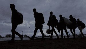 Irans Migration Trend Continues to Rise