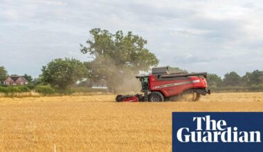 Food becoming more calorific but less nutritious due to rising carbon dioxide. Researchers noticed ‘dramatic’ changes in nutrients in crops, including drop in zinc and rise in lead.