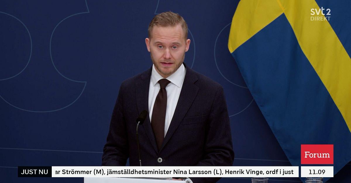 Tidöpartiernas förslag: Medborgarskap ska fråntas vid grova brott