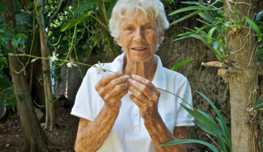 Joann Andrews, Environmental Pioneer in Yucatán, Dies at 96