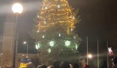 Sillamäe umbkeelne kuusk