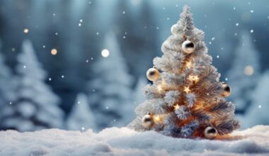 Kerstartikelen: Nederland grootste exporteur in EU