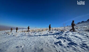 Border Guards arrest 5 for illegal entry into Syria