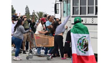 LA man pleads guilty to assaulting a federal agent during an immigration enforcement protest in Paramount – Daily News