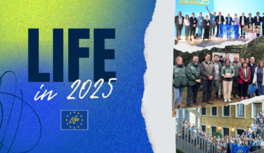 a year of climate, environment and clean energy action