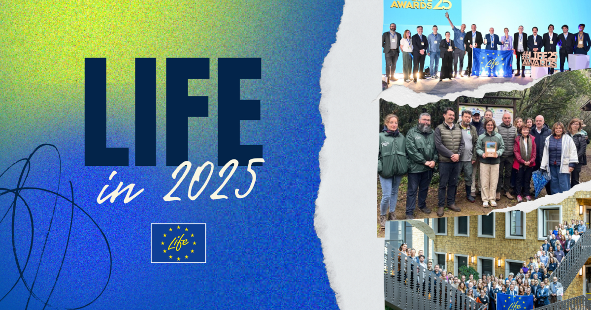 a year of climate, environment and clean energy action