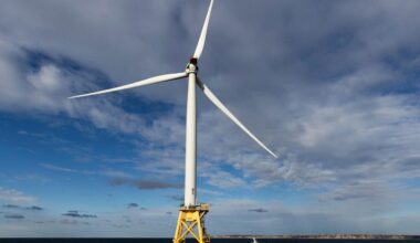 Federal judge throws out Trump order blocking development of wind energy