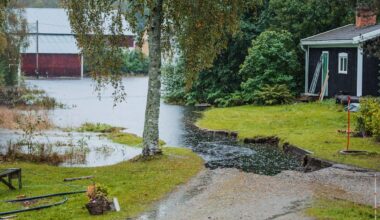 Vintrar försvinner helt i Sverige – blir allt blötare