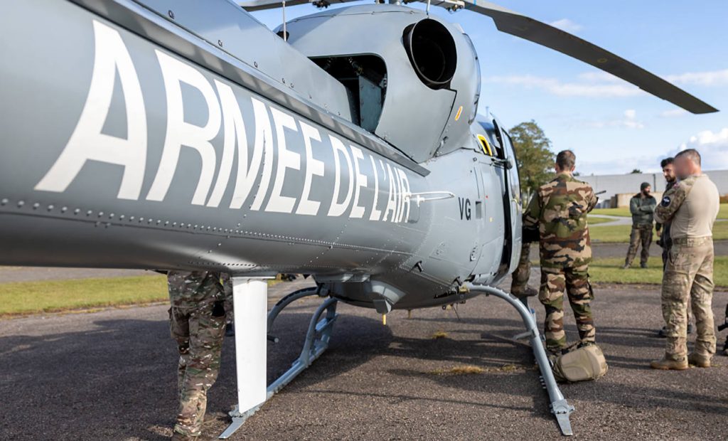 Fennec MASA_Danemark