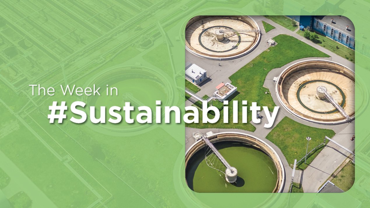 Mexico Enacts Circular Economy Law; Royal Caribbean Files EIS