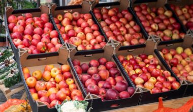 PZU dostało zielone światło dla rozliczenia byłej prezes. Padły trudne pytania