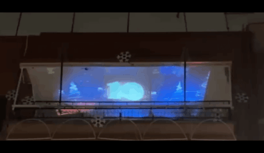 Show Navideño en Balcón