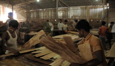 Growing tribe of migrant voters find voice in local body polls