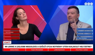 Huth Gergely szerint az SZDSZ a hibás a gyermekvédelem jelenlegi helyzete miatt