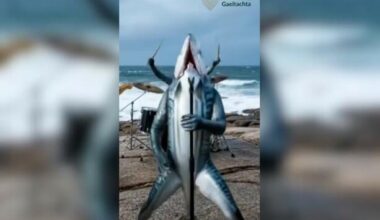 'An insult to what art is': Údarás na Gaeltachta's AI competition faces backlash from artists