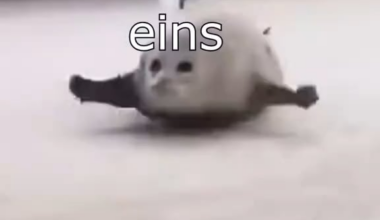 ich_iel