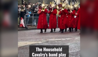 Well it is Christmas 🎄