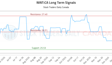 (NINT) Long Term Investment Analysis