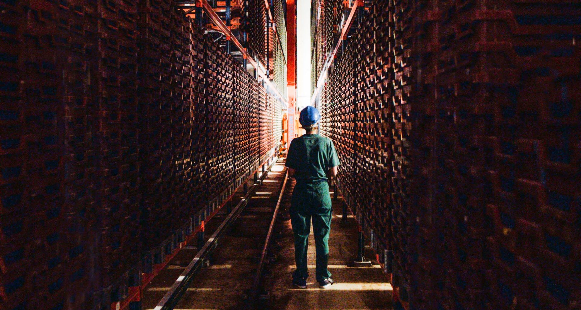 Ynsect : fin de l'aventure pour le leader français des protéines d'insectes