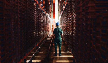 Ynsect : fin de l'aventure pour le leader français des protéines d'insectes