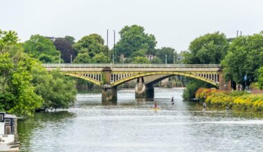 Man admits throwing kittens off bridge into Thames as he said 'let them die'