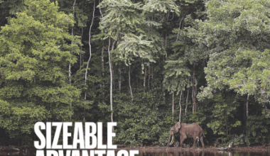 Authors retract Nature paper projecting high costs of climate change – Retraction Watch