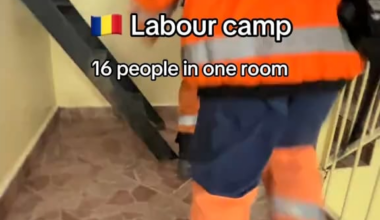 Am intrat într-un rabbit hole în care îmi tot apar video-uri de la asiaticii care lucrează în România și arată în ce condiții muncesc și cât câștigă