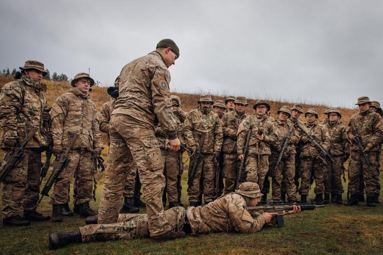 Fraværet af værnepligtige med anden etnisk oprindelse end dansk vækker ærgrelse