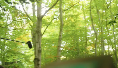 Woman walking dog stumbles upon Prince William and Jill Scott filming in Remembrance Park